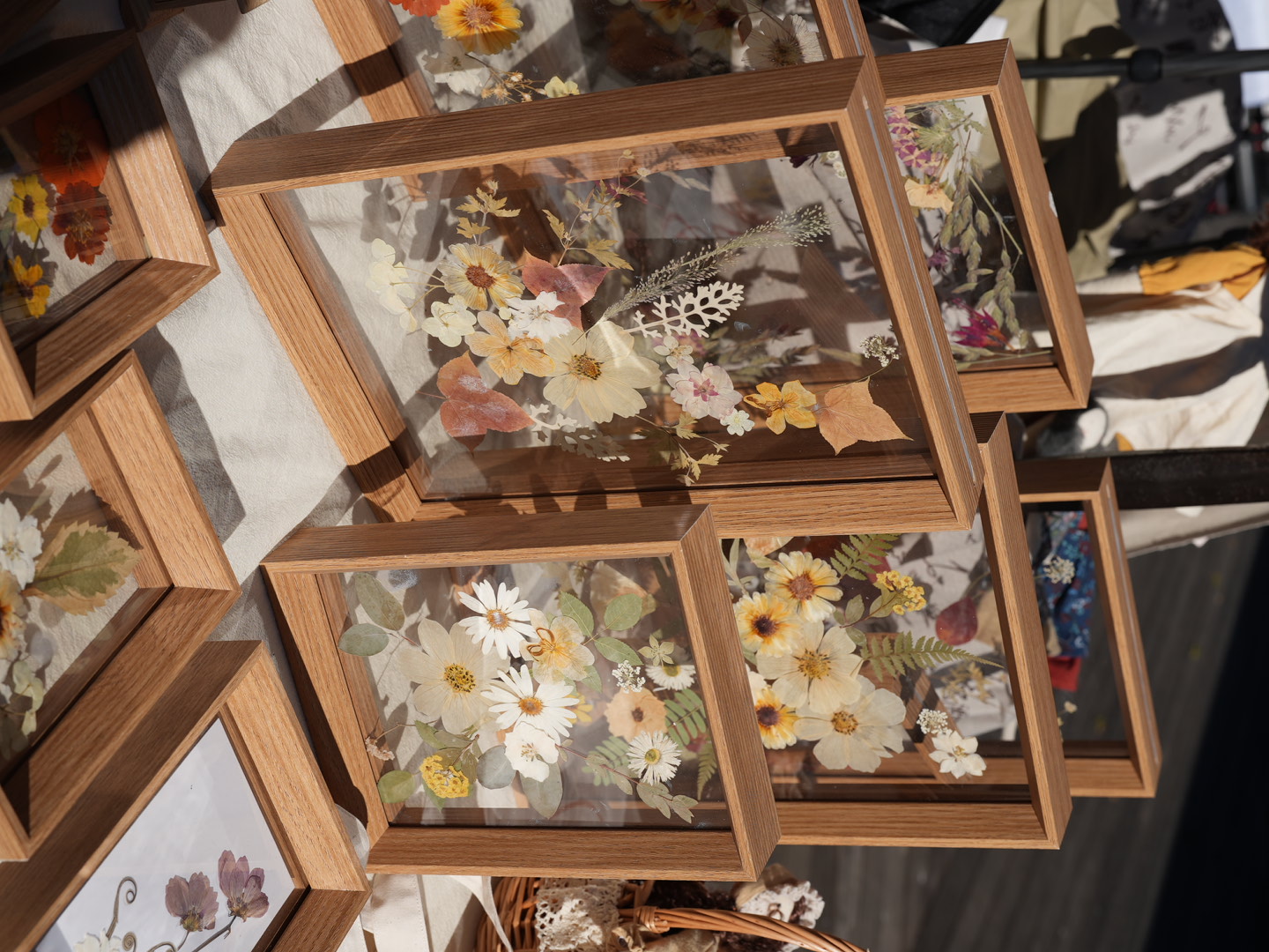Pressed flower frames catching the afternoon light